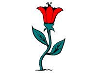 FLOWER1.BMP