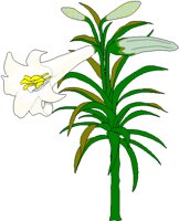 EASTERL2.BMP