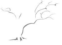 DEADTREE.BMP