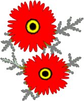 DAISY.BMP