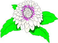 DAHLA.BMP