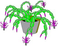 CRCACTUS.BMP