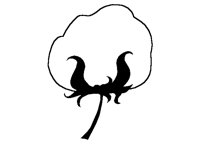 COTTON.BMP