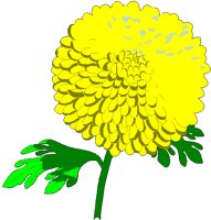 CHRYSANT.BMP