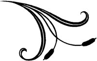 CAT_UR.BMP