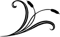 CAT_LR.BMP