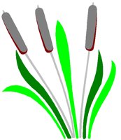 CATTAILS.BMP