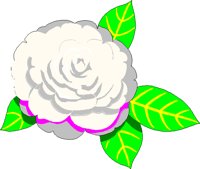 CAMELIA.BMP