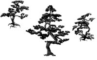 BONSAI.PCX