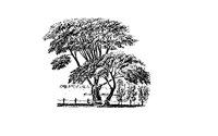 BOMEN10.PCX