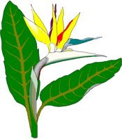 BIRD_OF.BMP