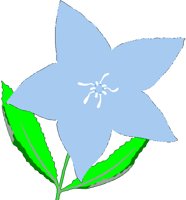 BFLOWER.BMP