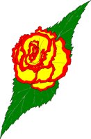 BEGONIA.BMP