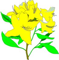AZALEA.BMP