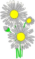 ASTER.BMP