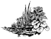 95_25.BMP