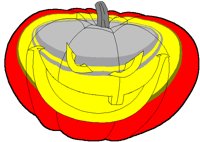 PUMPKIN3.BMP