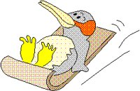 PENGSLID.BMP