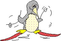 PENGSKI.BMP
