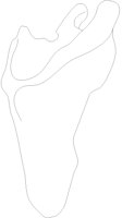 SCPL1RPL.BMP