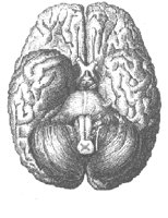 MA2_103.BMP