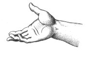 MA2_101.BMP