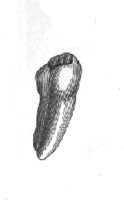 MA1_21.BMP