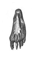 MA1_12.BMP