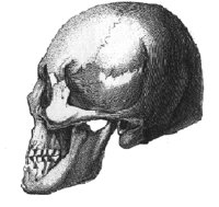 MA1_03.BMP