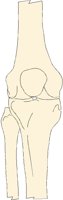 KNEE1RAF.BMP