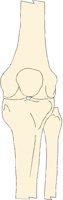 KNEE1LAF.BMP