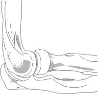 KNEE.BMP