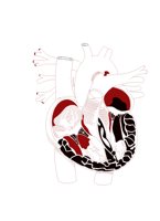HEART2.BMP