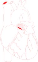 HEART.BMP