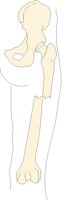 FRC_4_PF.BMP
