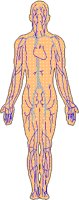CIRCV.BMP
