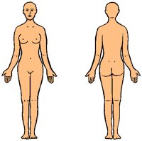 ANATWOMN.BMP