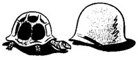 HELM.BMP