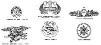 BADGE6.BMP