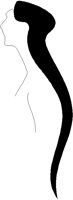 PROFILE2.BMP