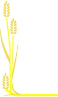 WHEAT.BMP