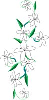 FLORAL.BMP