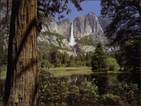 YOSEMITE.BMP