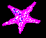 STAR4.BMP