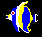 FISHF4C.BMP
