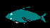 FISHF1A.BMP