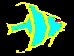 FISHB2D.BMP