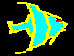 FISHB2A.BMP