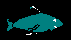 FISHB1D.BMP