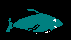 FISHB1C.BMP